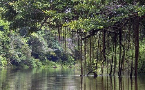 Amazonas Perú PERÚ costa sierra y selva