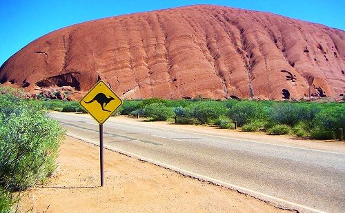 Ayers Rock viaje a sydney