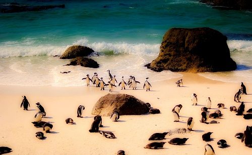 Cabo de Buena Esperanza Cabo de Buena Esperanza