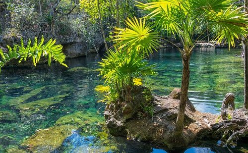 Cenote Riviera Maya Cenote Riviera Maya