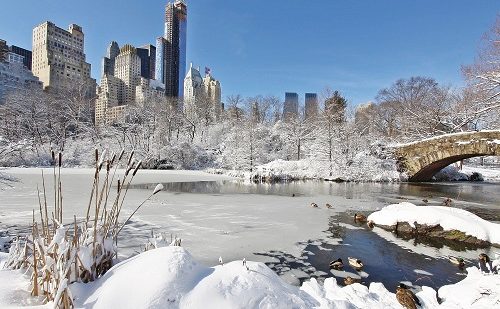 viaje nueva york navidad