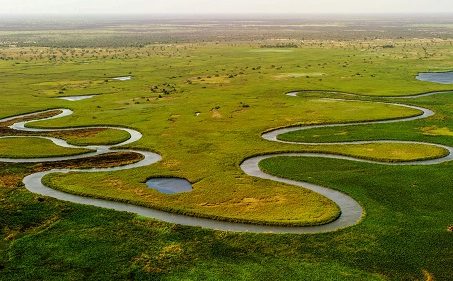 Delta Okavango