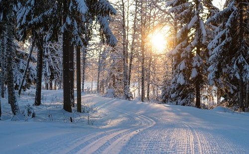 Deportes de aventura en Levi