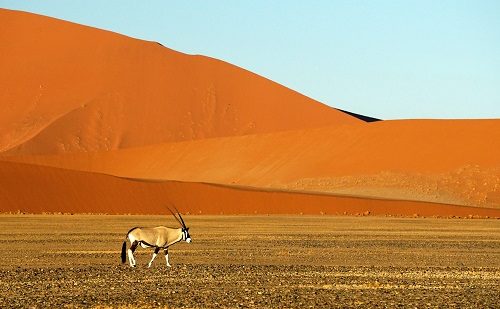 Viaje a Namibia Precio