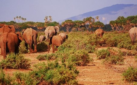Viaje a Tanzania