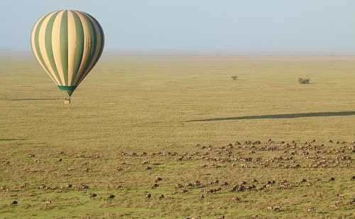 Safari Tanzania