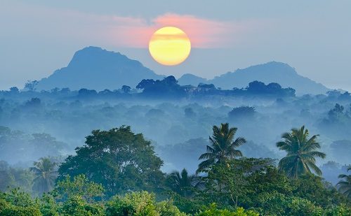 Jungla Viaje a Sri Lanka
