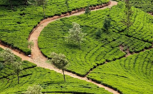 Kandy Viaje a Sri Lanka