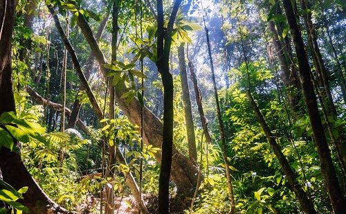 Ko Phi Phi Tailandia