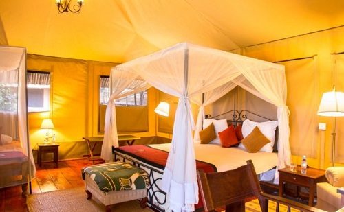 Lodge Ngorongoro Lodge Ngorongoro