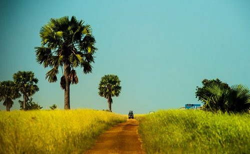 Paisajes Uganda Viaje a Uganda y Ruanda