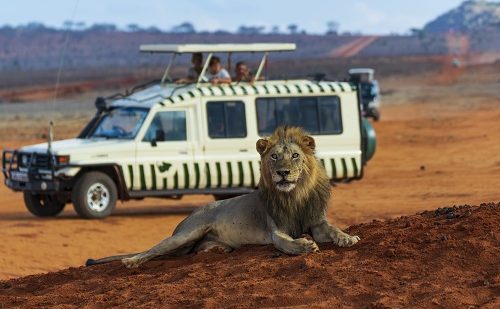 Parque Masai Mara safari masai mara