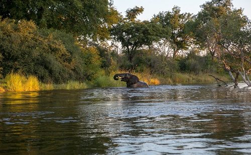 Parque Nacional Chobe viaje a Zambia