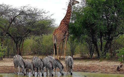 Parque Nacional Mosi Oa Tunya Parque Nacional Mosi Oa Tunya