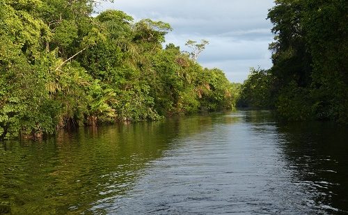 Parque Tortuguero