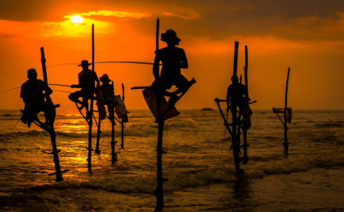 Viaje a Sri Lanka con el norte