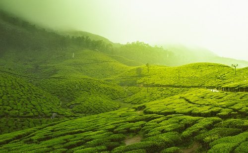 Viaje al sur de la india