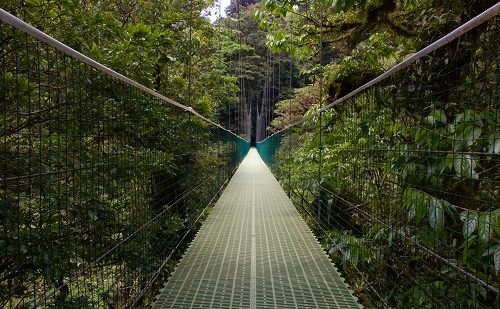 Puentes Monteverde