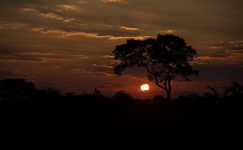 Puesta de sol Safari Puesta de sol Safari