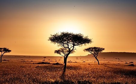 Kenia y Tanzania