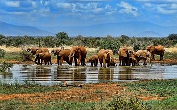 viaje organizado sudafrica