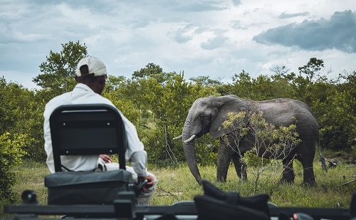 Safari Kruger Safari en Sudafrica