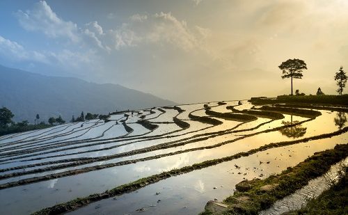 Sapa viaje norte de vietnam