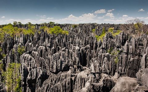 Viaje a Madagascar