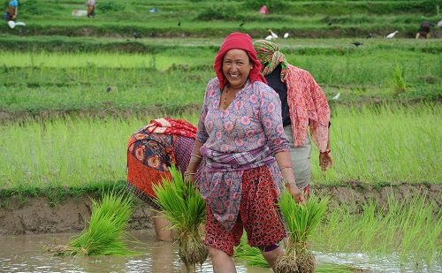 Valle de Kathmandu viaje a katmandú