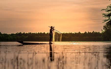 Vida Local Vida Local