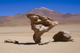 desierto viaje a chile 15 días