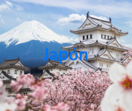 mejores lugares a los que viajar en noviembre japon