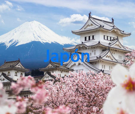 mejores lugares a los que viajar en noviembre japon