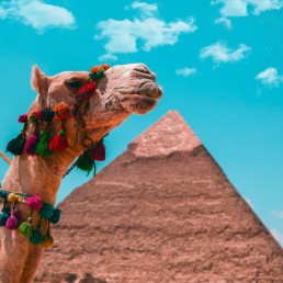 Agencia de viajes a medida Travel to Clouds Egipto